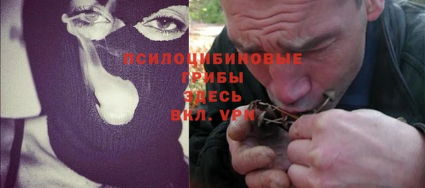 СК Абинск