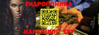 дмт Пенза