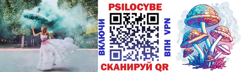 OMG ТОР  Новокузнецк  Псилоцибиновые грибы Psilocybe 