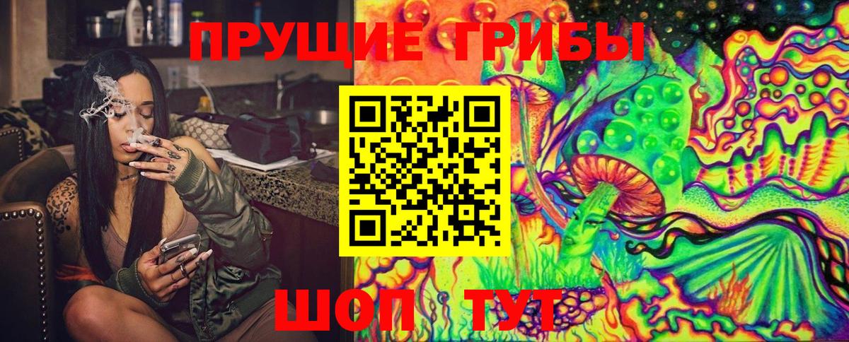 Галлюциногенные грибы Psilocybe Новокузнецк